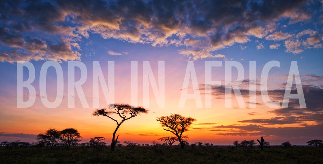 sunset-1080x550